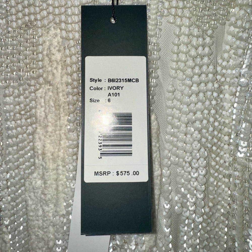 Parker, Ivory Beaded Gown, Size 6, Floor length, Sleeveless - Picture 2 of 11